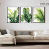 monstera frame set cd 0102