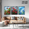 new frame set cd 5008 (copy)