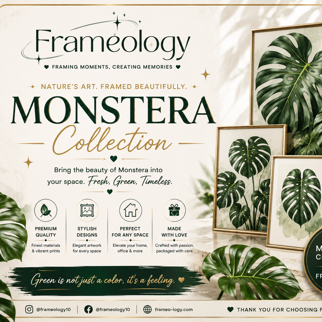 monstera
