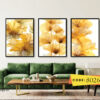 abstract frame set cd 8011