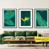 abstract frame set cd 8011