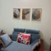 best selling frame set cd 9008