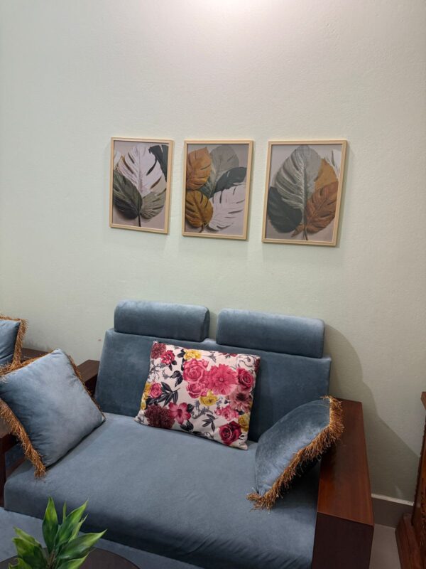 best selling frame set cd 9008